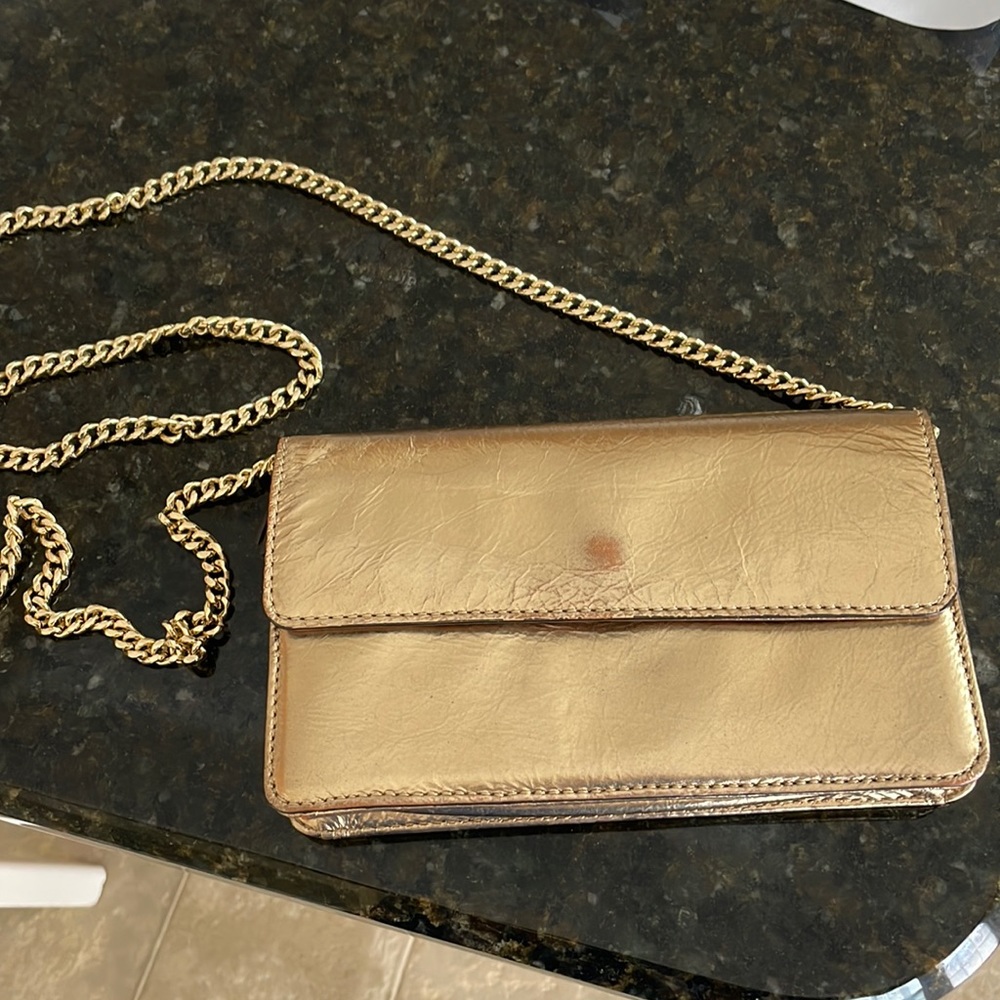 Banana Republic Gold Crossbody Bag